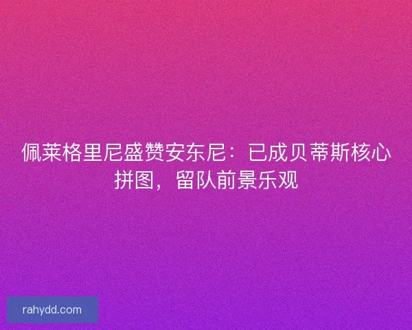 佩莱格里尼盛赞安东尼：已成贝蒂斯核心拼图，留队前景乐观