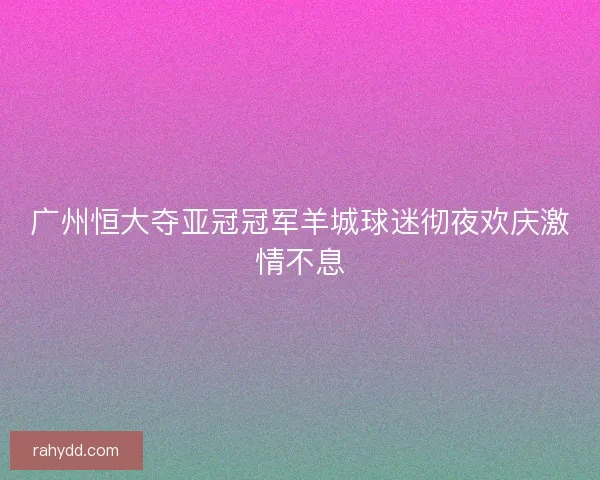广州恒大夺亚冠冠军羊城球迷彻夜欢庆激情不息